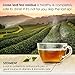 Tea Drops Sampler Box 25 Count | Organic Dissolvable Loose Leaf Tea | Iced or Hot | Naturally Sweetened Organic Chai, Rose Earl Grey, Citrus Ginger, Peppermint, Matcha | 25 Servings - 5 Per Flavor
