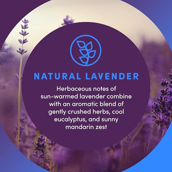 CLEAN REVOLUTION LIQUID GEL HAND SOAP, SILKY RICH LIQUID, QUICK LATHER, FAST RINSING, CONTAINS REAL ESSENTIAL OILS (NATURAL LAVENDER) 8 FL OZ