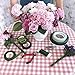 Supla 31 Pack Floral Arrangement Kit Green Brown Clear Floral Tape Waterproof Wire Cutter Stem Wire Floral Wire U Shaped Floral Pins for Bouquet Stem Wrap Florist