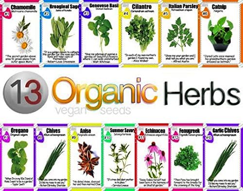 Veganseeds Herb Seeds 13 Varieties Non Gmo Anise,Parsley, Chives, Fenugreek, Echinacea, Cilantro, Catnip, Basil, chamomile, Oregano, Chives, Sage,Summer Savory Plus Free Pack Of Garlic Chives