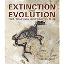 Extinction and Evolution: What Fossils Reveal About the History of Life
