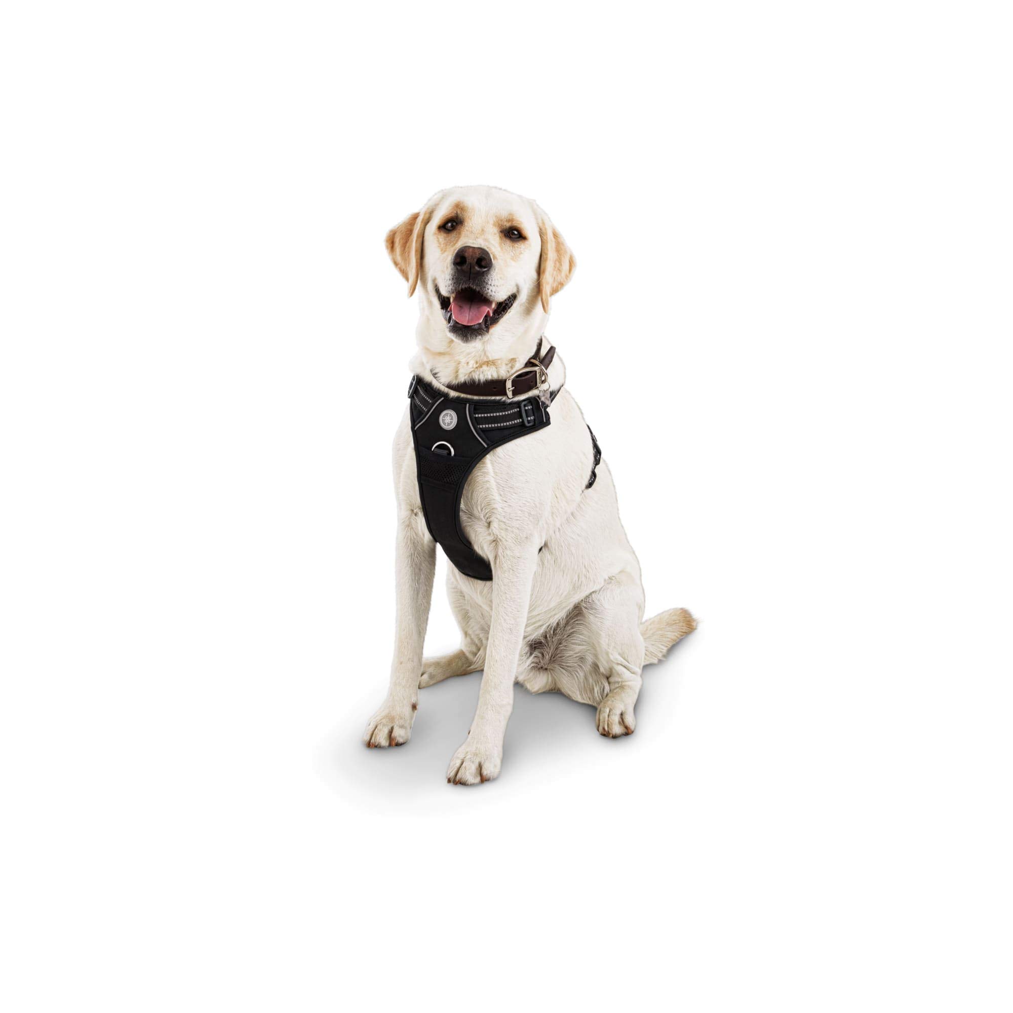 Good2G0 Front Walking Harness