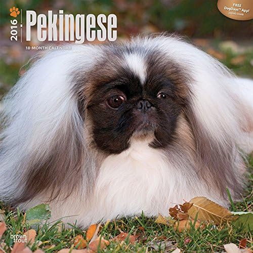 Pekingese - 2016 Calendar 12 x 12in