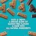 Enjoy Life Foods Soft Baked Chewy Bars, Variety Pack, Nut Free Bars, Soy Free, Dairy Free, Gluten Free, 6 Boxes (30 Total Bars)