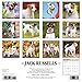 Just Jack Russells 2017 Calendar