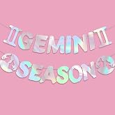 Gemini Season Banner, Gemini Season Birthday Party Iridescent Gemini Banner -12 Constellation Zodiac Gemini Birthday Party Decorations, May/June Bday Decorations