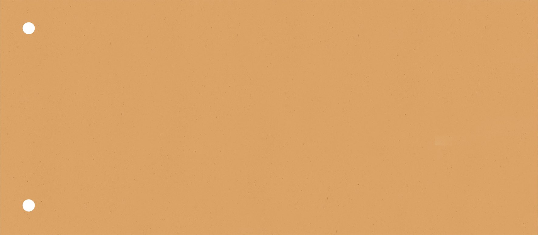 Baier & Schneider, Dividers, Inkjet Printers, Laser Printers Cardboard 190 g/m², 105 x 240 mm, Orange