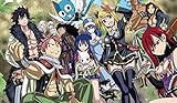 Fairy Tail PLAYMAT CUSTOM PLAY MAT ANIME PLAYMAT #168