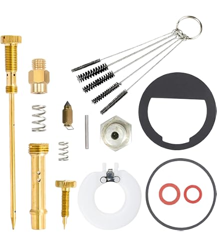 Ashata 275776 2 Kits De Réparation De Carburateur 2575701-S De