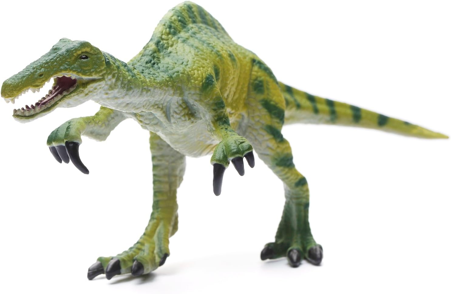 baryonyx collecta 2019