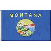 AZ FLAG - Montana Flag - 2x3 Ft - 100D Polyester Us State Of Montana Banner with Two Metal Grommets - Fade Resistant - Vivid Colors - 2' x 3' Feet - 90x60 Cm