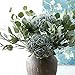 Eucalyptus Leaves Artificial leaf Artificial Greenery Silver Dollar Eucalyptus Leaf Spray in Green Artificial Greenery Holiday Greens Christmas Greenery Leaves for Wedding Party Home Decor, 25.6