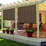 TANG Exterior Roller Shade Roll up Shade for Patio
