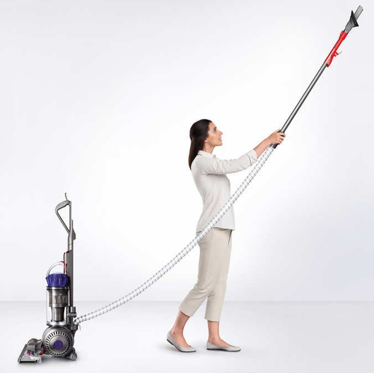 Dyson Ball (formerly DC65) Animal + Allergy Complete Upright Vacuum