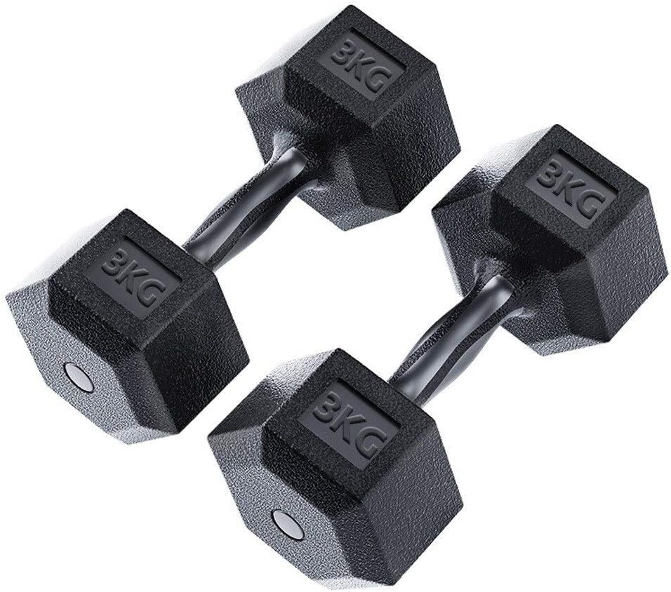 ZKL shop Fitness Equipment 6KG Dumbbell Solid Iron Hexagon Dumbbell Rubber Encased Hex Dumbbell with Metal Handles Home Sports Fitness Equipment