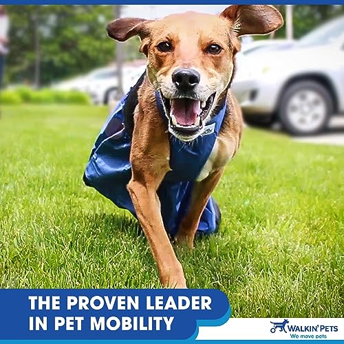 Drag Bag Indoor Dog Wheelchair Alternative Protects Chest and Limbs