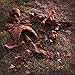 Halloween Haunters 20 Piece Bag of Plastic Life Size Burnt Rotten Flesh Mummy Skeleton Skull Bones Prop Decoration - Scary Graveyard Human Realistic Corpse Body Parts Set - Hands, Feet, Arms, Legs