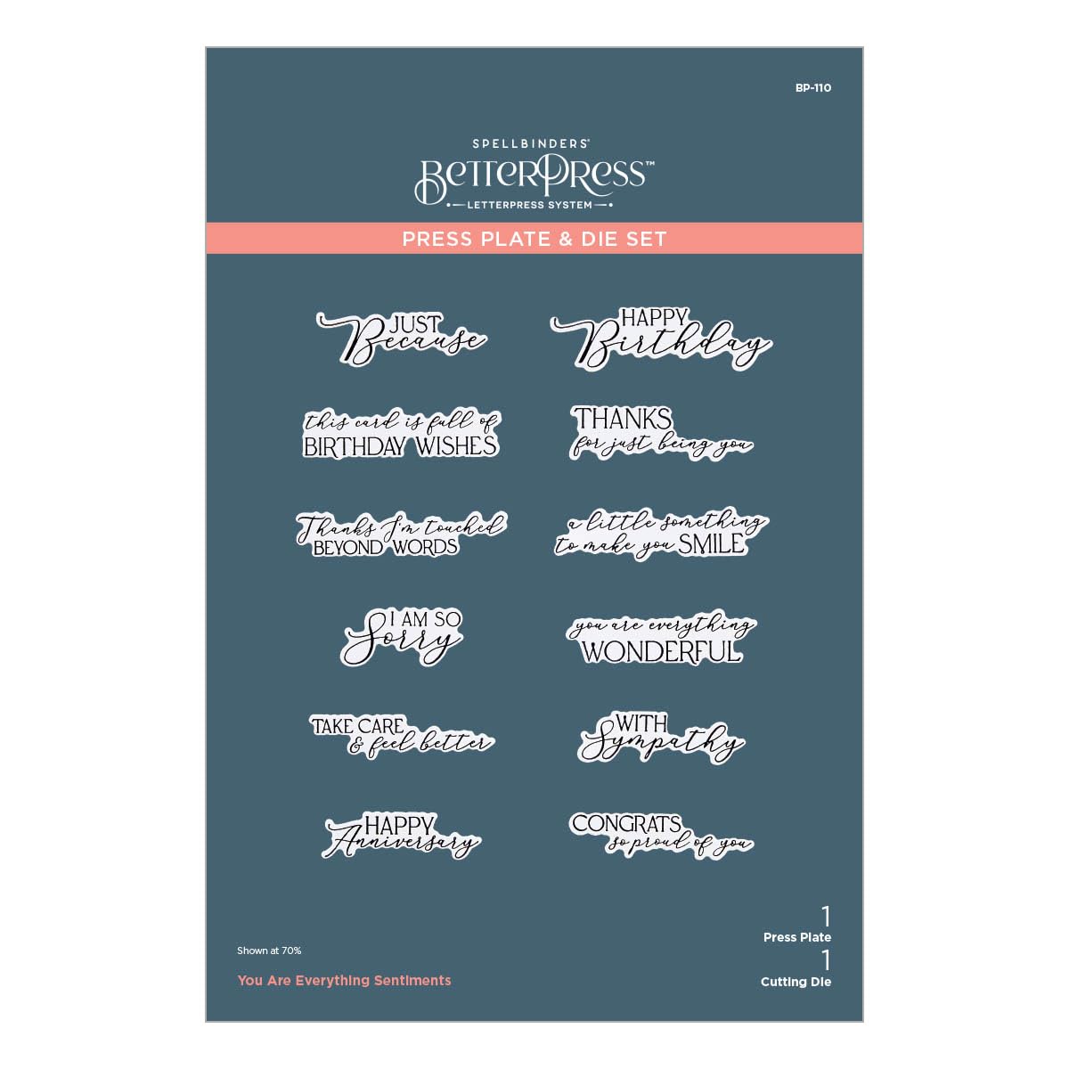 Spellbinders You are Everything Sentiments Plate & Die Set from The Pressed Posies Collection, Metal, ONE