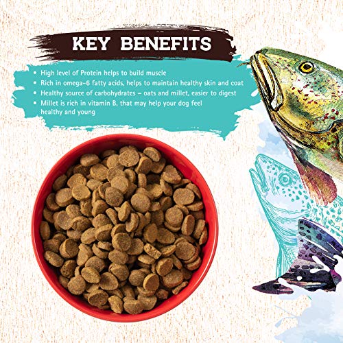 Inception® Dry Dog Food Fish Recipe Complete and Balanced Dog Food