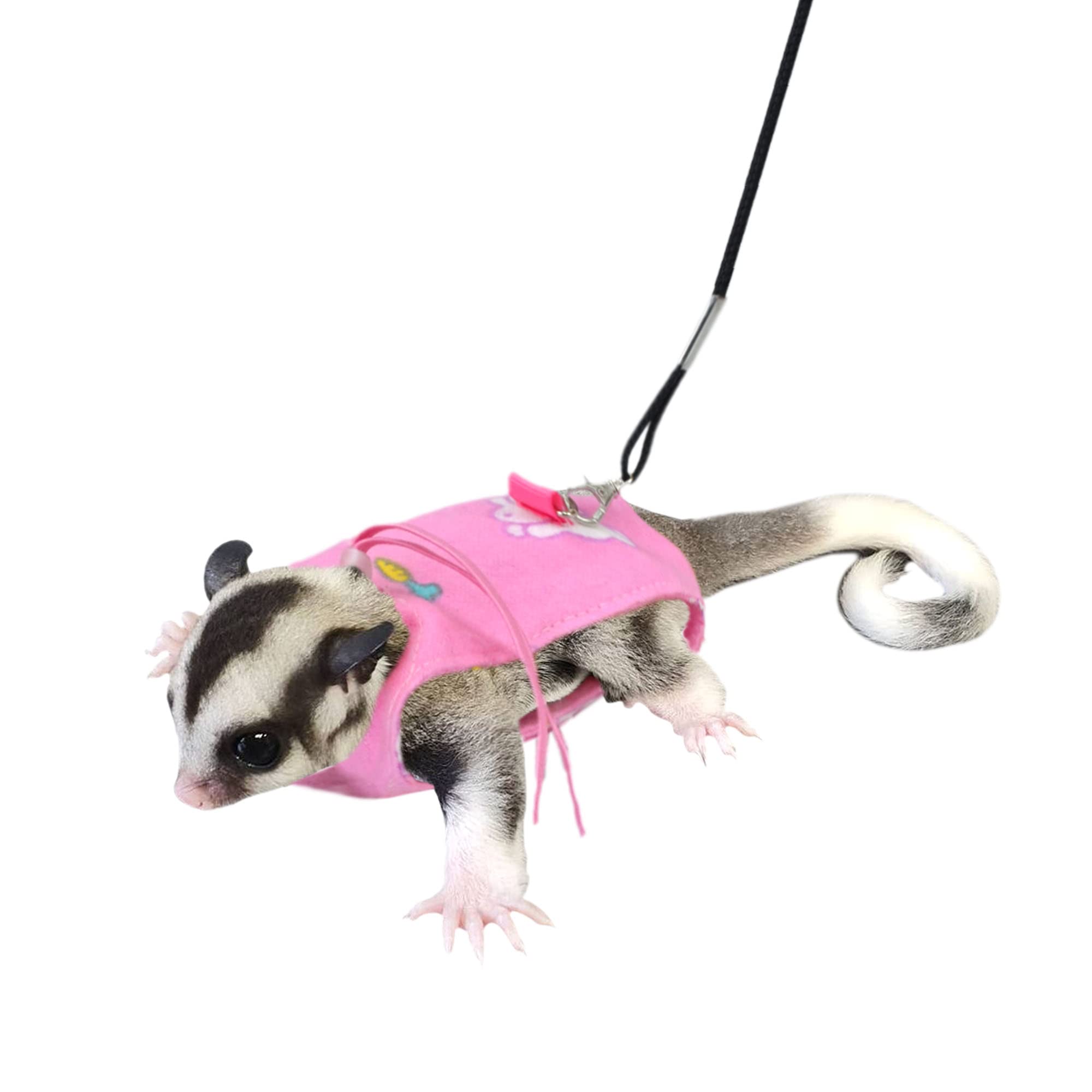 Sugar Glider Harness and Leash Set Adjustable Comfort Harness for Sugar Glider Small Animal Training Walking Vest Leash