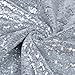 TRLYC 20 Ft X 10 Ft Silver Sequins Backdrop Curtain