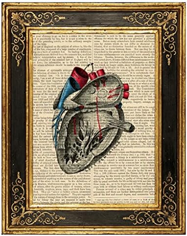 Dreamery Studio, Human Heart #3 Medical Illustration Art Print on Upcycled Antique Book Page, 8x10.5