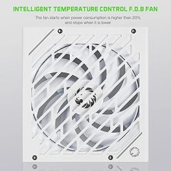GAMEMAX Rampage Series 850W PCIE 5.0 & ATX 3.0 80