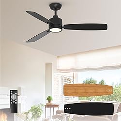 TALOYA 52 Inch Ceiling Fans with Lights Led Remote