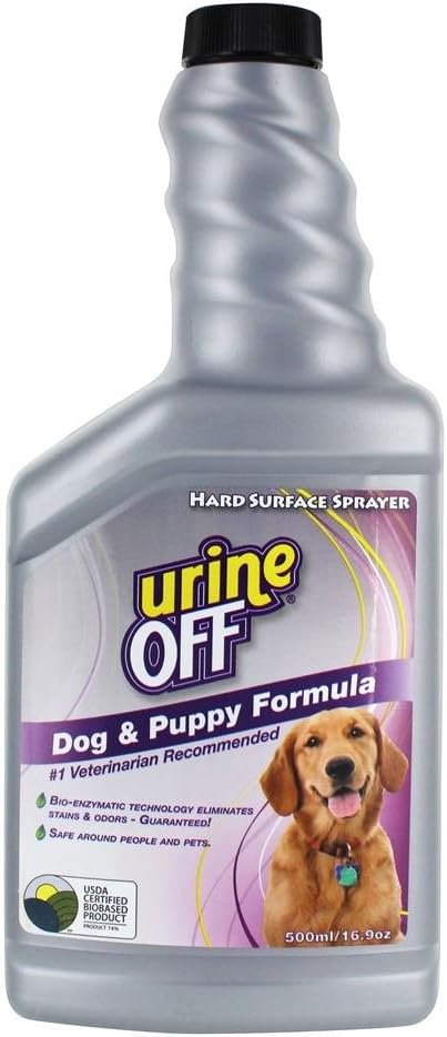 what is the best kind of cat litter