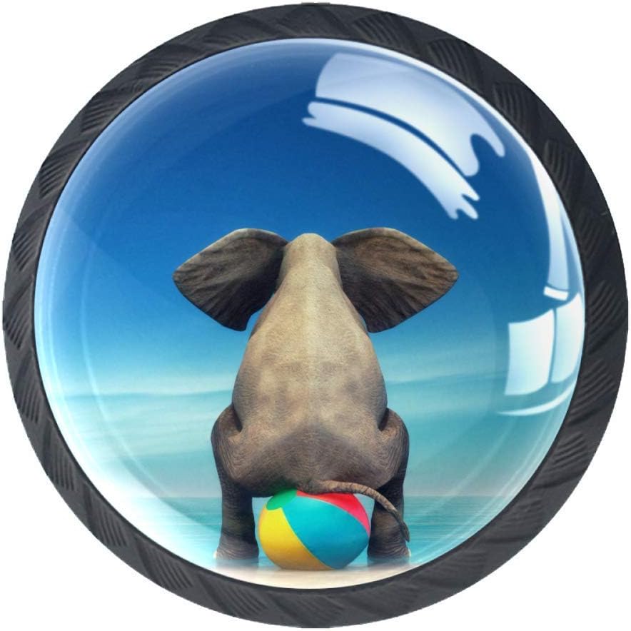 Elefante solitario en la playa Bola de la playa Cajón de la puerta Tira