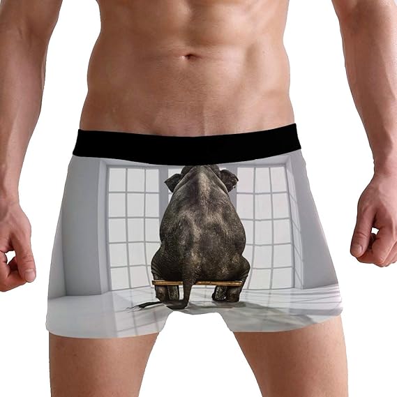 Funny Animal Elephant Men's Boxer Briefs Underwear Comfortable