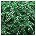 JAM Paper Shred Tissue Paper Krinkeleen - 2 oz - Green - Sold Individually