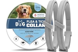NJKPUYT Flea Collar for Dogs, Tick Collars for Dogs, Dog Fleas Collar, 8-Month Protection,Safe Repellent for Fleas, Ticks & Mosquitoes,Fits Small, Medium & Large Dog-2P