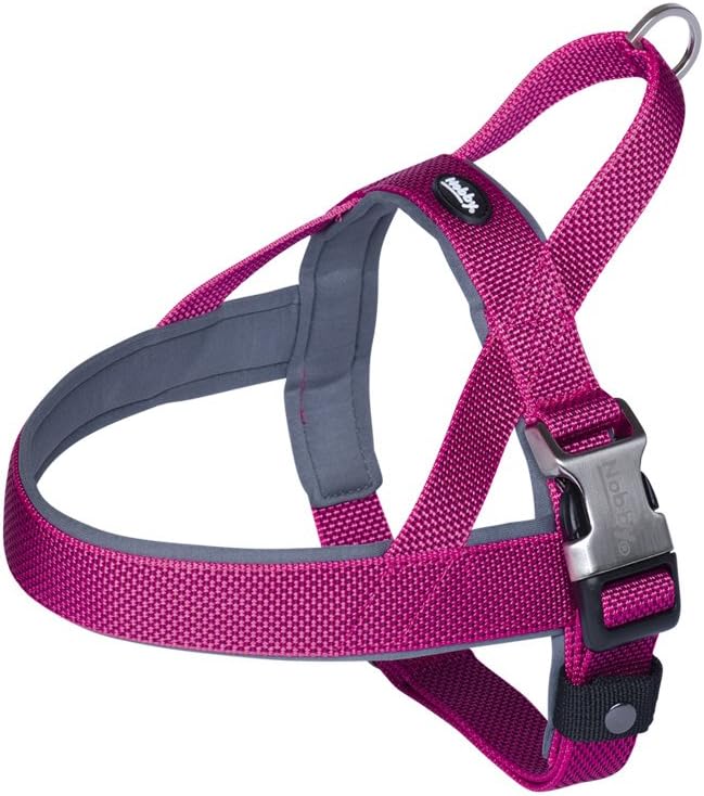 Pettorina Per Cane Nobby Classic Preno Royal | Imbottita In Neoprene, Grigio, 20mm - Foto 2