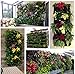 Mr Garden 36 Pockets Vertical Grow Bags Garden Hanging Wall Planters Indoor/Outdoor Green