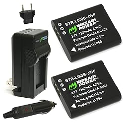 Wasabi Power DB-110 Battery (2-Pack) and Charger