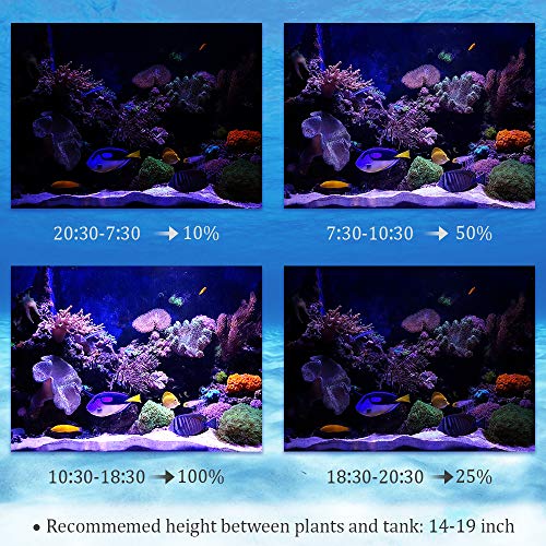 Bozily Aquarium Light Dimmable, Full Spectrum Freshwater Fish Tank Light with Replaceable Bulbs and Adjustable C-Clamp for Aquatic Plant Growth