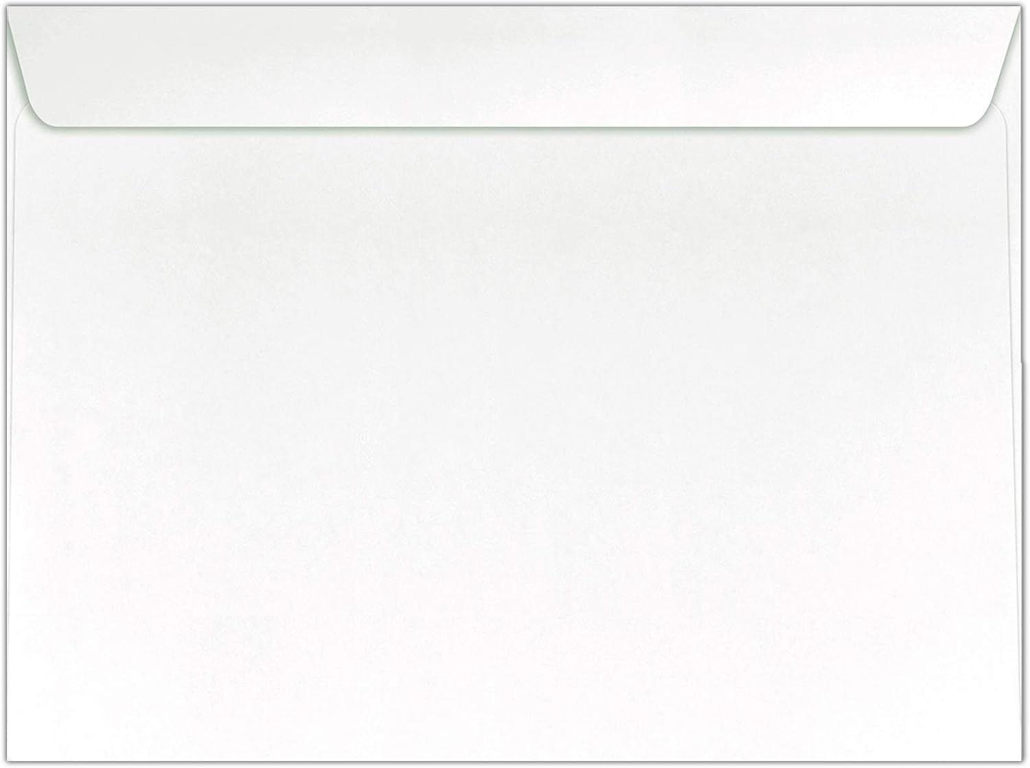 9 x 12 Full-Face Window Envelopes in 28 lb. Bright White for Mailing a Business Letter, Catalog, Financial Document, Magazine, Pamphlet, 50 Pack (White) : Office Products