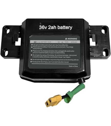 Amazon.com: TEMIBATT 10S2P Lithium Battery for Hoverboard - 36V