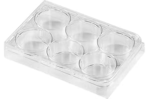 SCIENFOCUS LAB 6 Well Culture Plate - Culture Plate 6 Well - with Lid, Flat Bottom, Individual Pack (Pack of 10)