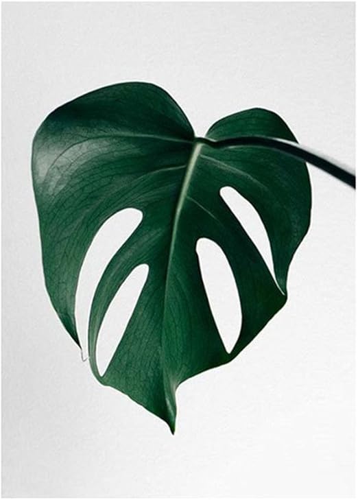 Amazon.de: Wandbild mit Pflanzenmotiv von display08 für Zuhause