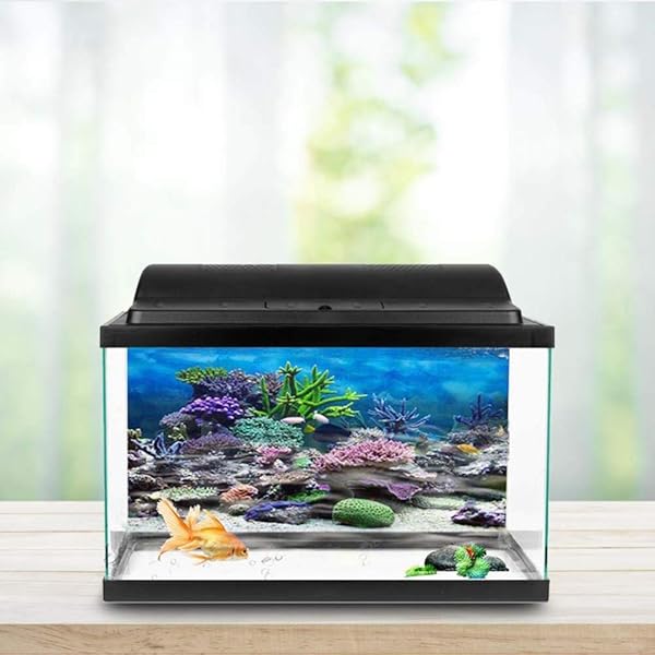 346 Kertas Untuk Background Aquarium Images My