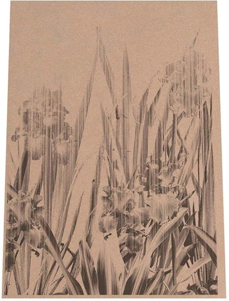 Amazon Co Jp Fashion Poster ファッションポスター A1 約59cm 84cm ポスター ヴィンテージ ポスターのみ オシャレ ファッションポスター フォト モダン シンプル おしゃれ お洒落 しずく 雨 水 水滴 朝露 自然 ナチュラル 森 ジャングル ボタニカル 葉 緑 高画質