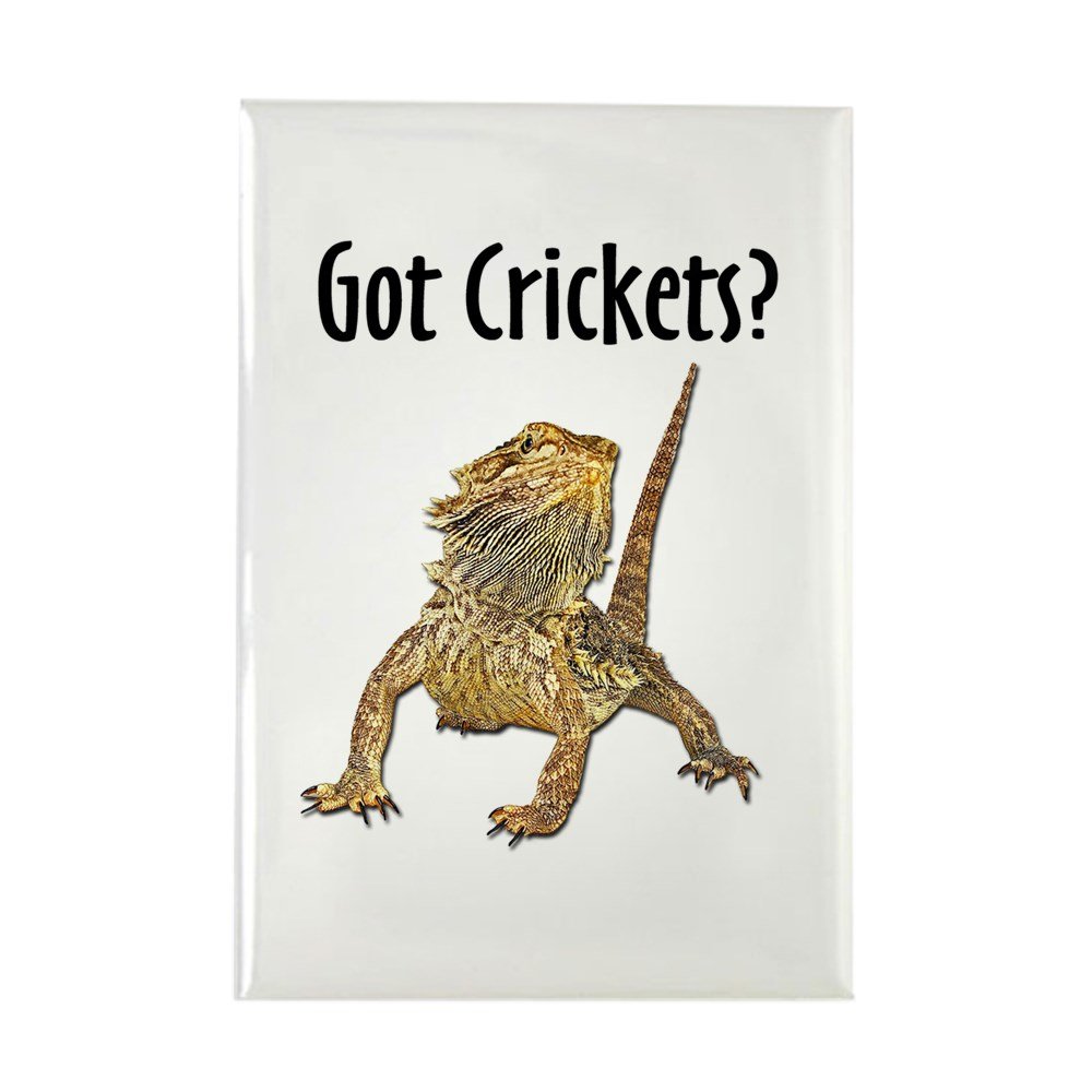 Which Is The Best Reptile Refrigerator Magnet