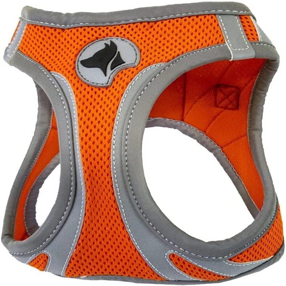 croci Reflective Hiking Harness, Medium, Orange — image 1