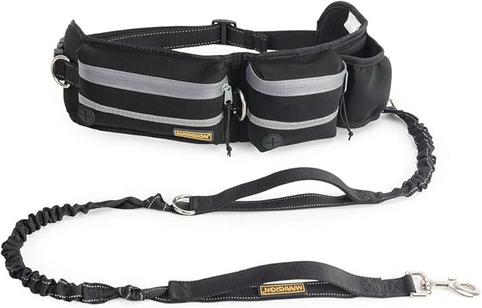 kong hands free leash with pouch