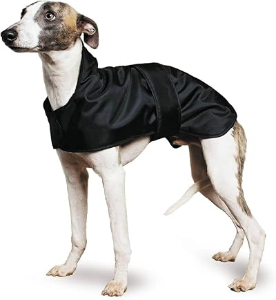 Ancol Muddy Paws Greyhound Whippet Coat Medium 43 cm Black