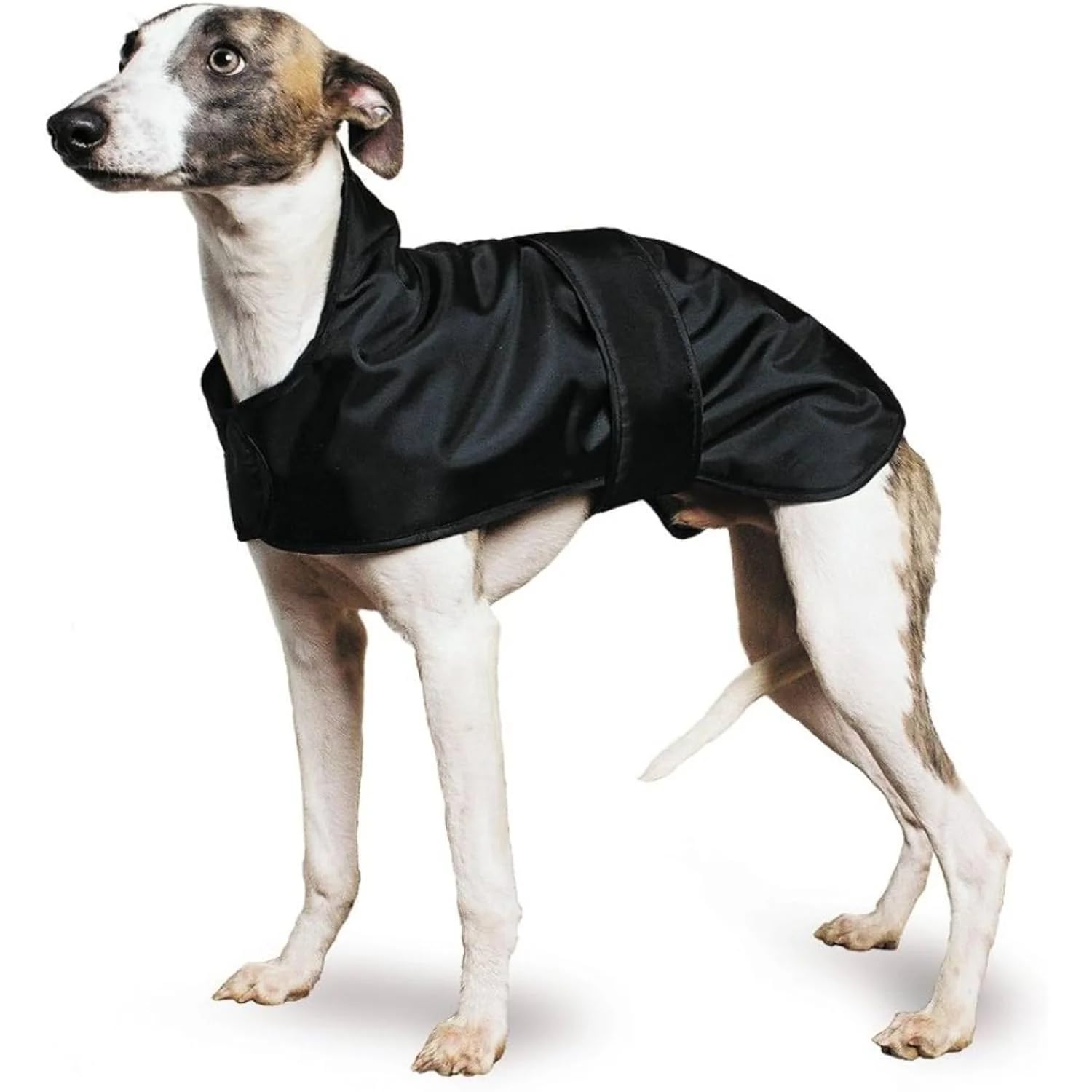 Ancol Muddy Paws Greyhound Whippet Coat, Medium(43 cm), Black — image 1