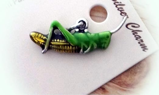 Amazon Com Sterling Silver 3d 8x25mm Green Gold Enamel Cricket Grasshopper Bug Insect Charm Vintage Crafting Pendant Jewelry Making Supplies Diy For Necklace Bracelet Accessories By Charmingss