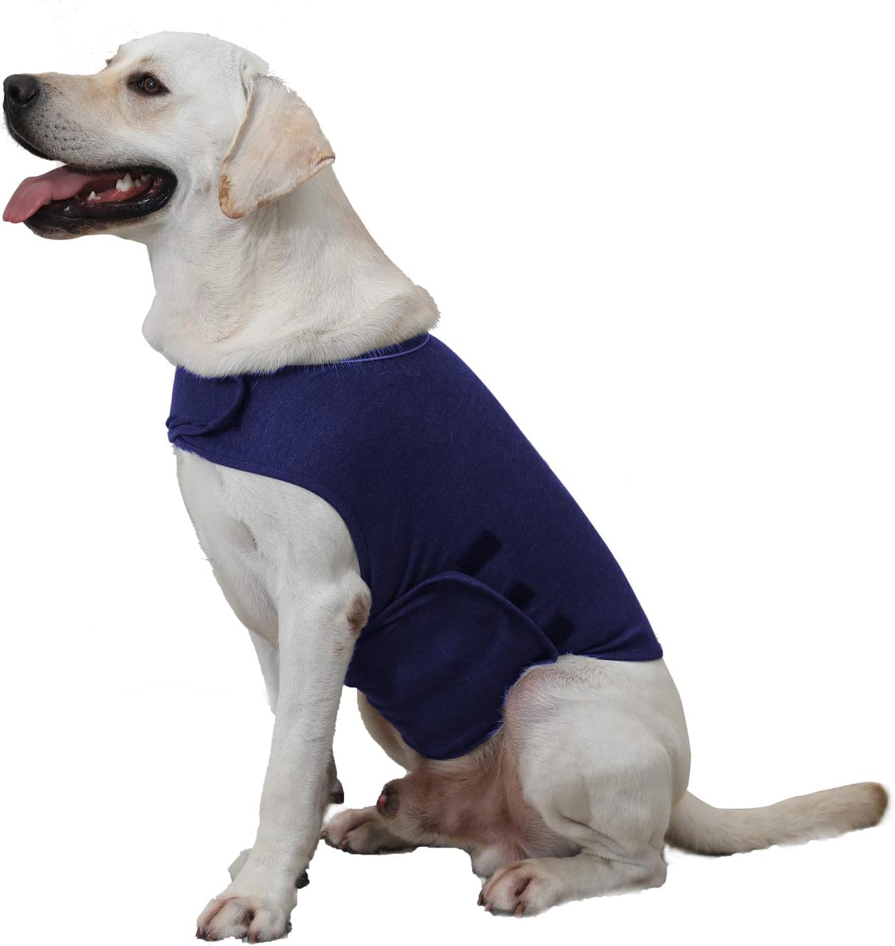 do thunder vests work